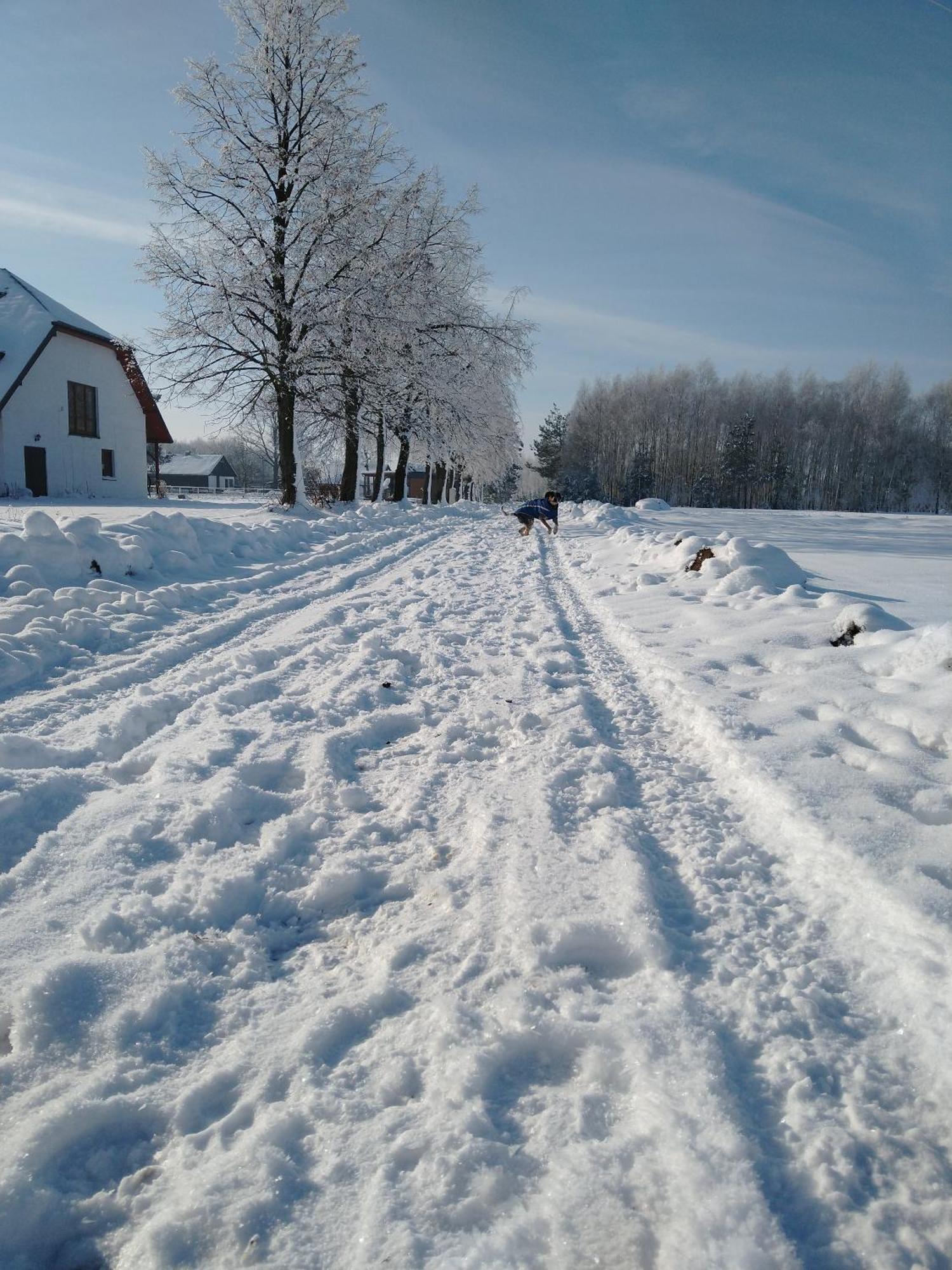 Domek Przy Stajni Bogdanowka Caloroczny Rossosz 外观 照片
