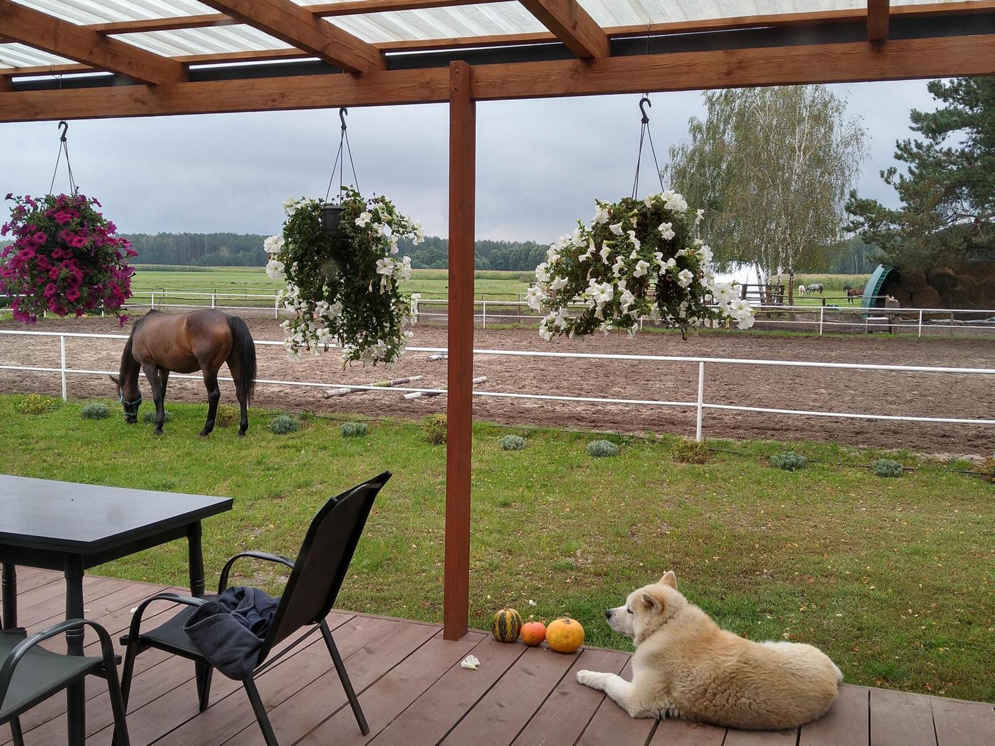 Domek Przy Stajni Bogdanowka Caloroczny Rossosz 外观 照片